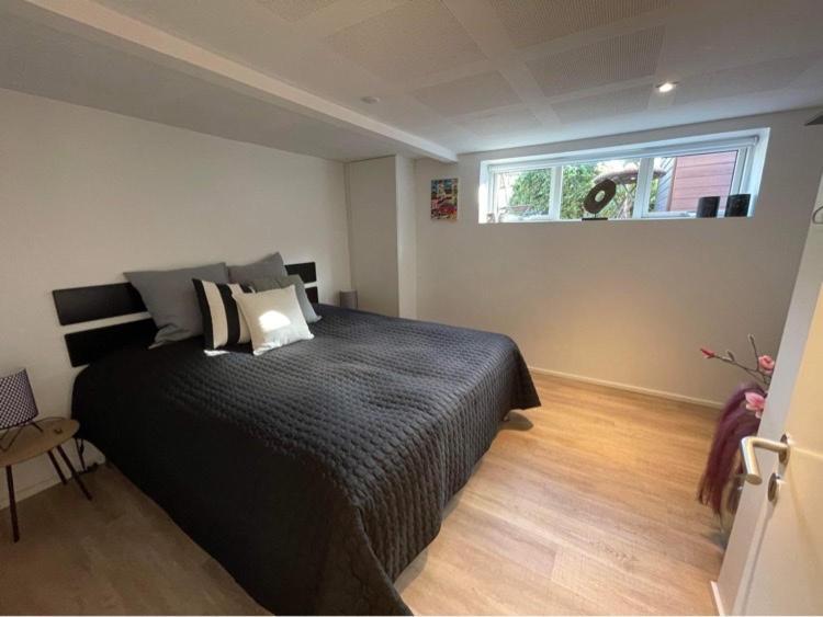 Nyistandsat Hojloftet Kaelderlejlighed Pa 70 M2 I Viborg Centrum, Med Plads Til 4 Personer Extérieur photo